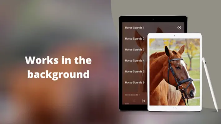 Horse Sounds HD android App screenshot 1