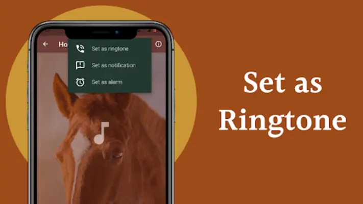 Horse Sounds HD android App screenshot 5