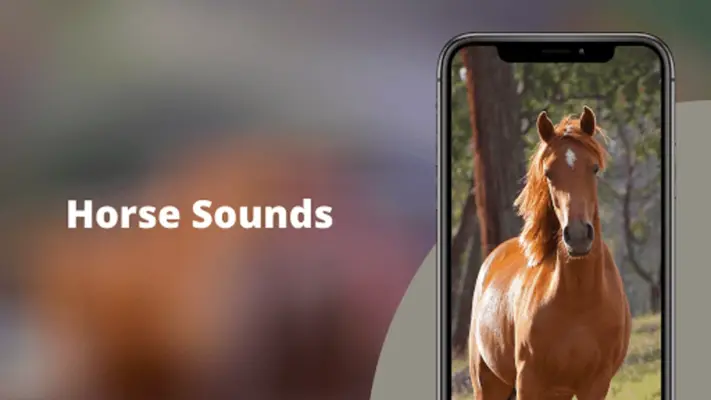 Horse Sounds HD android App screenshot 8